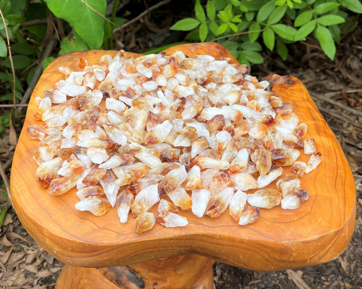 Citrine Points Crystal Collection