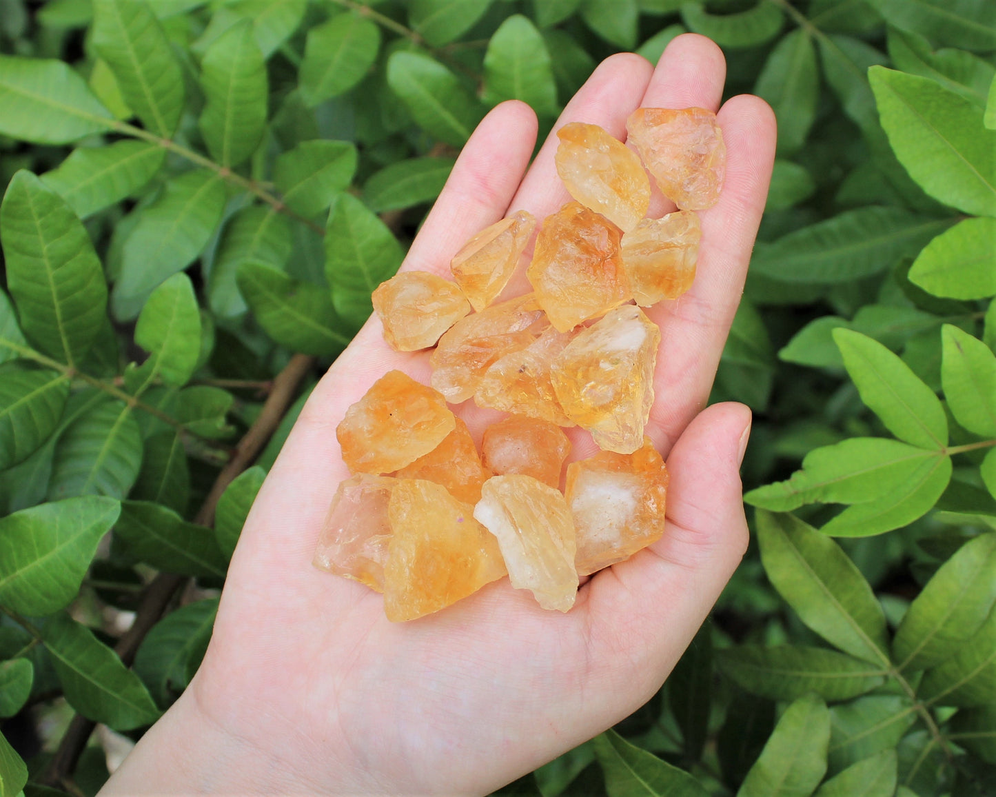 Citrine Rough Crystal Chips