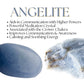 Clear Quartz Angelite And Sodalite Bracelet