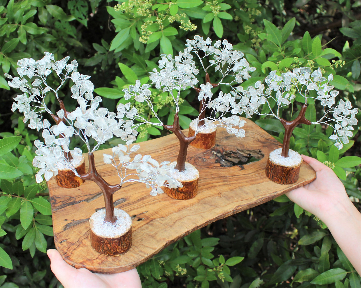 Clear Quartz Gem Tree With Wood Base