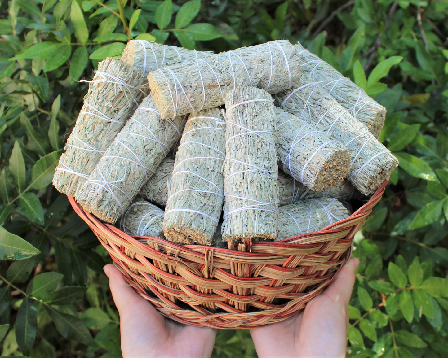 Copal Sage Smudge Stick