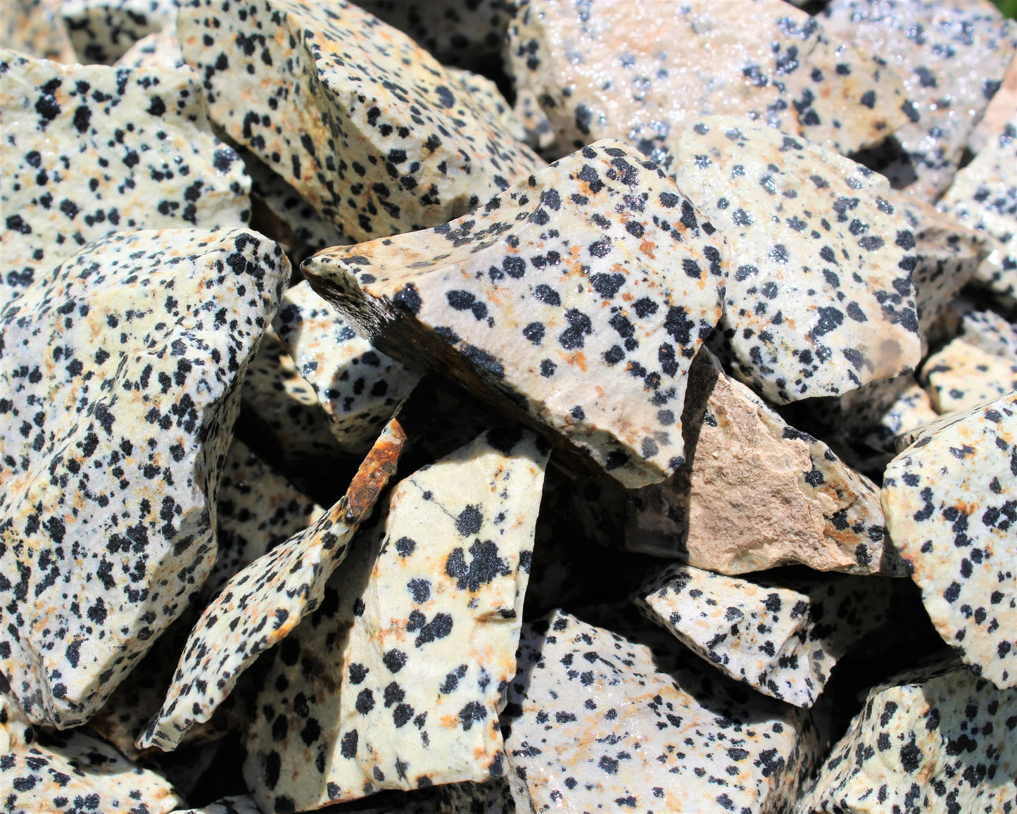 Dalmation Jasper Natural Rough Stones