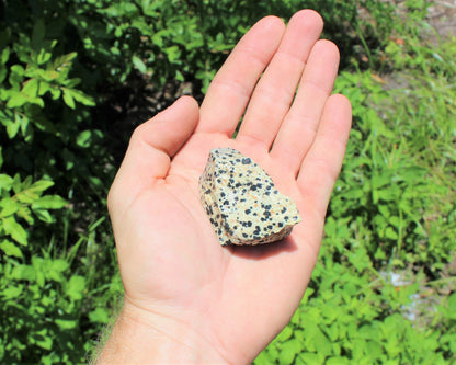 Dalmation Jasper Natural Rough Stones