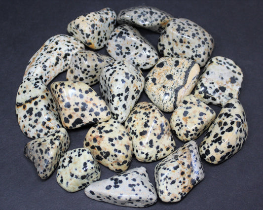 Dalmation Jasper Tumbled Stones