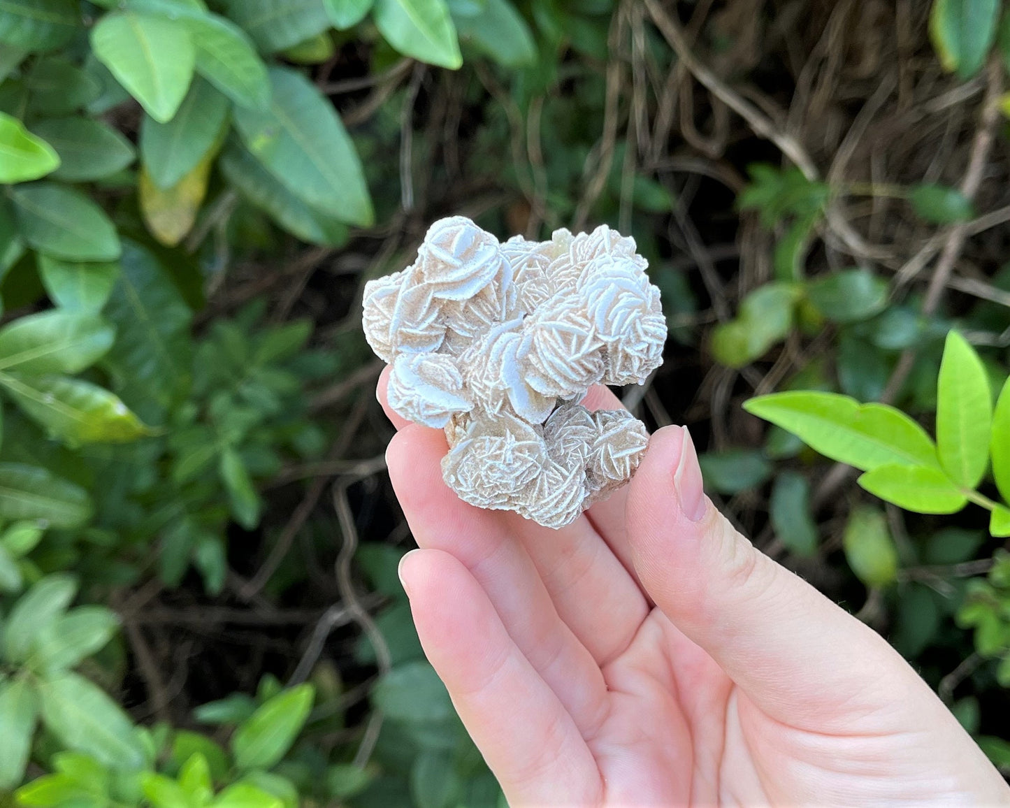 Desert Rose Cluster Crystal