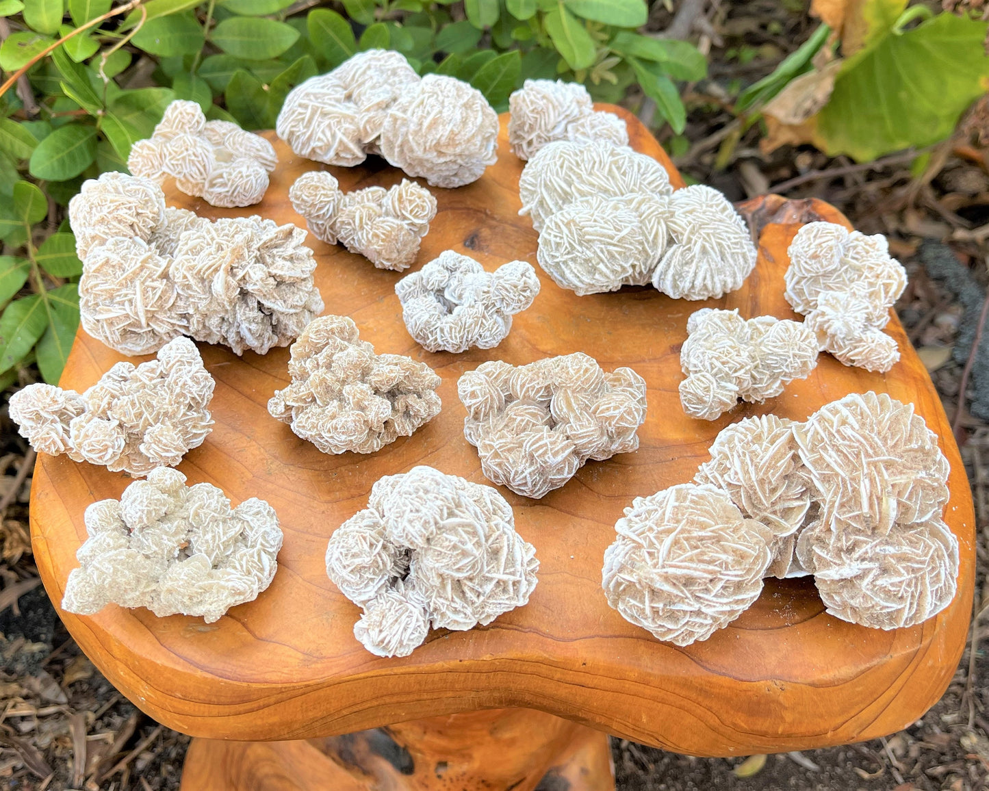 Desert Rose Cluster Crystal