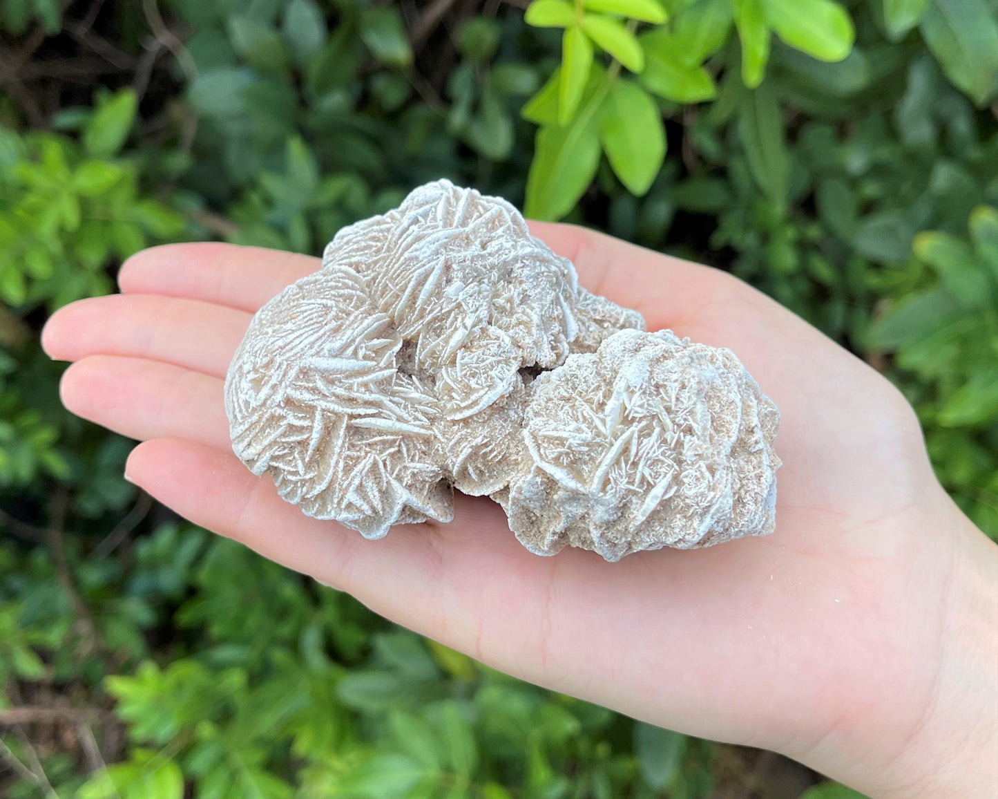 Desert Rose Cluster Crystal