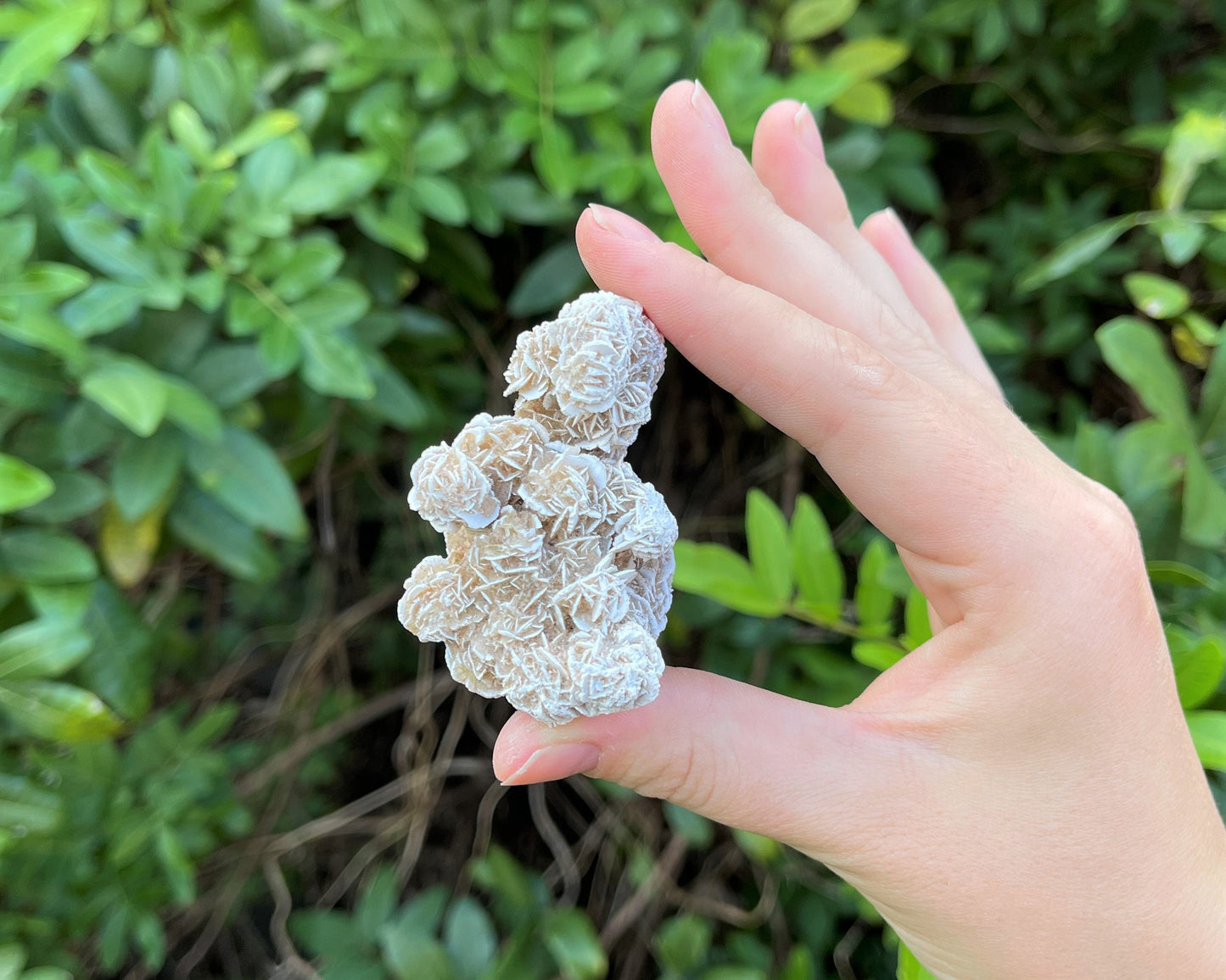 Desert Rose Cluster Crystal