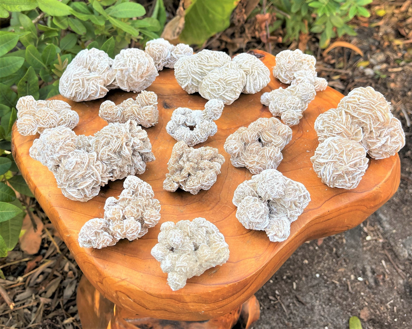 Desert Rose Cluster Crystal