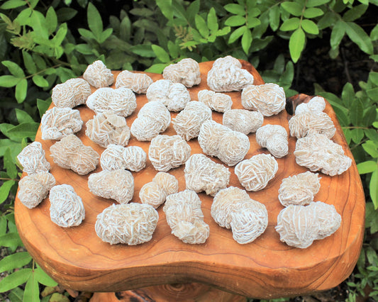 Desert Rose Selenite Bud