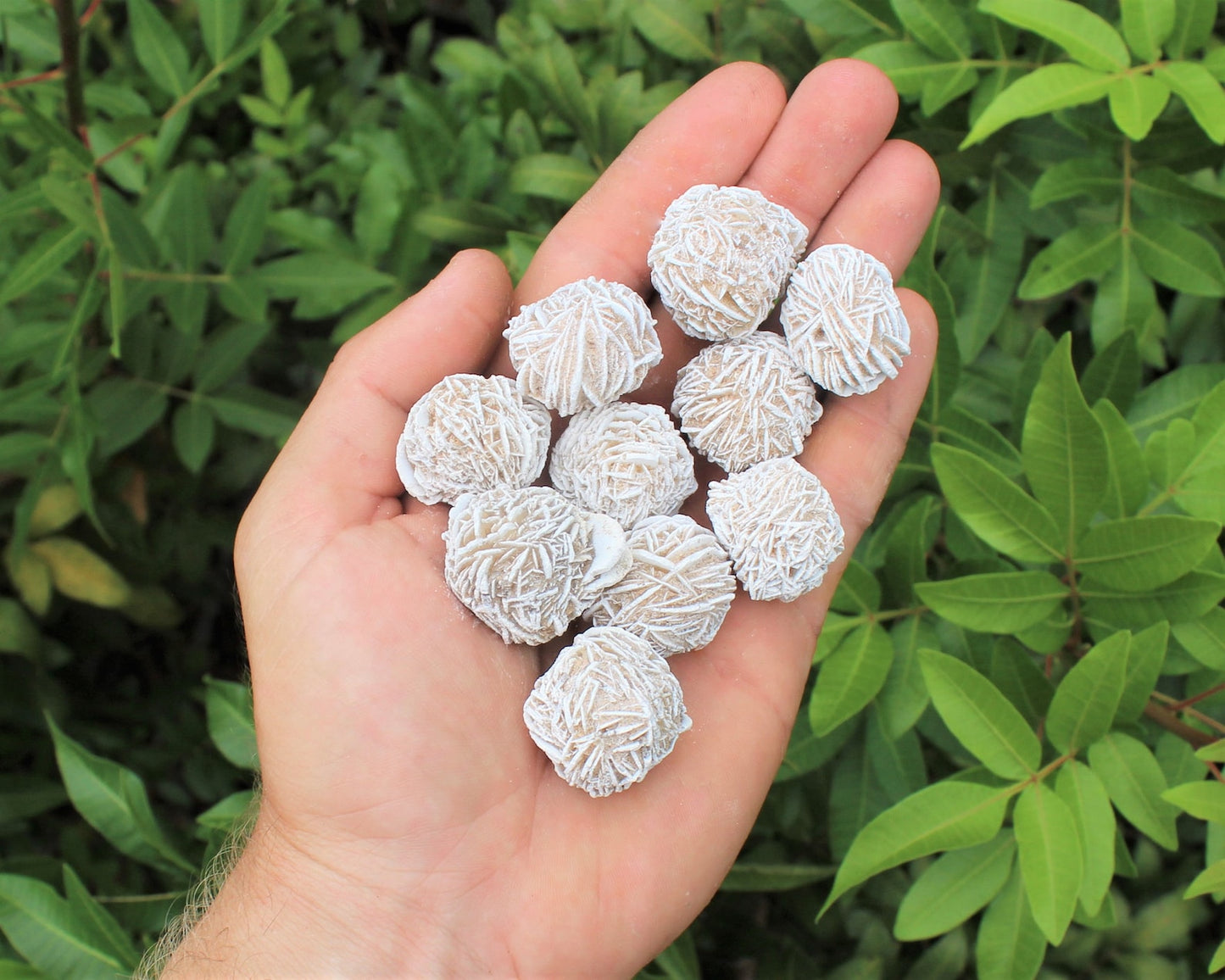 Desert Rose Selenite Flower Protection Set