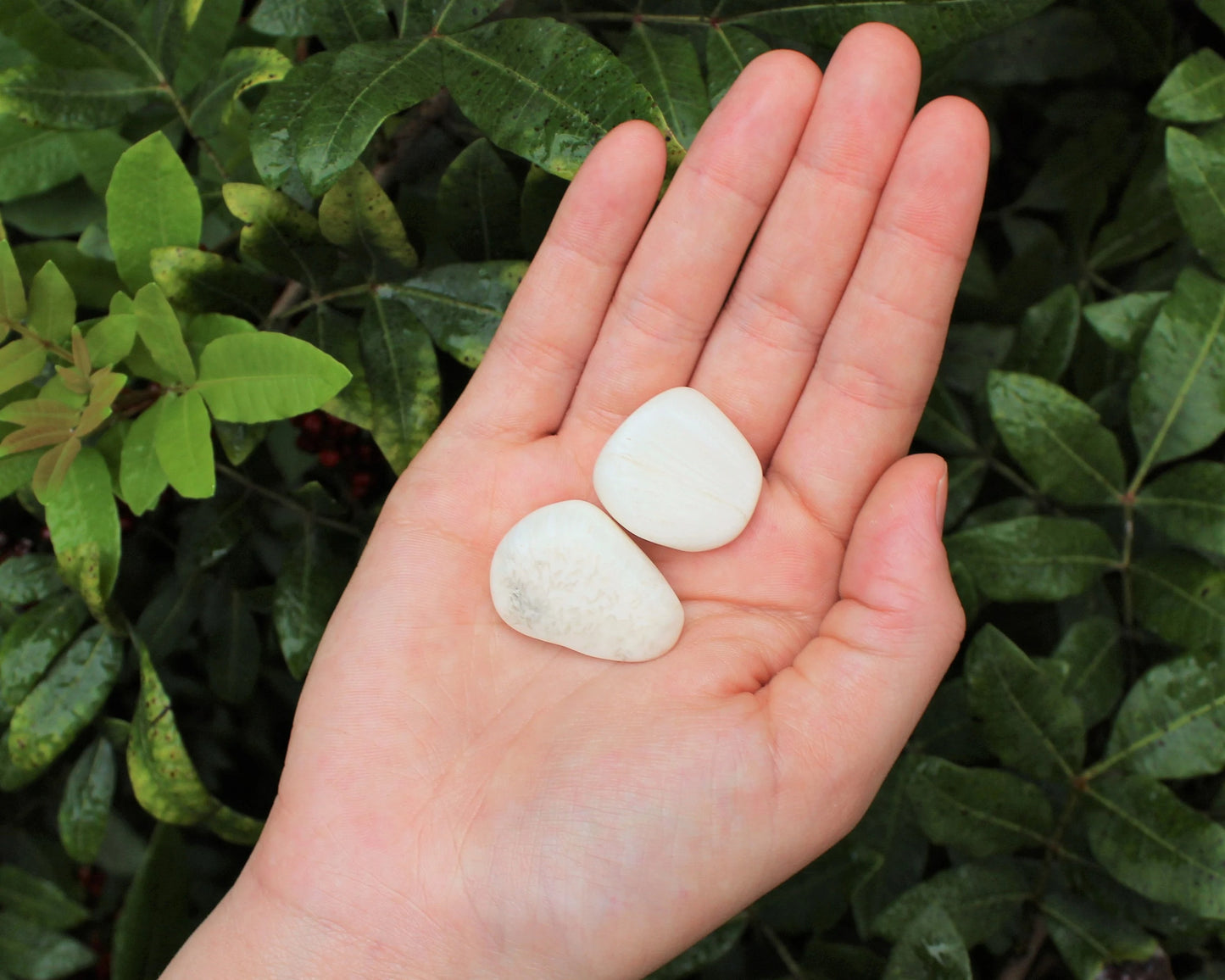 Elegant Scolecite Tumbled Stones