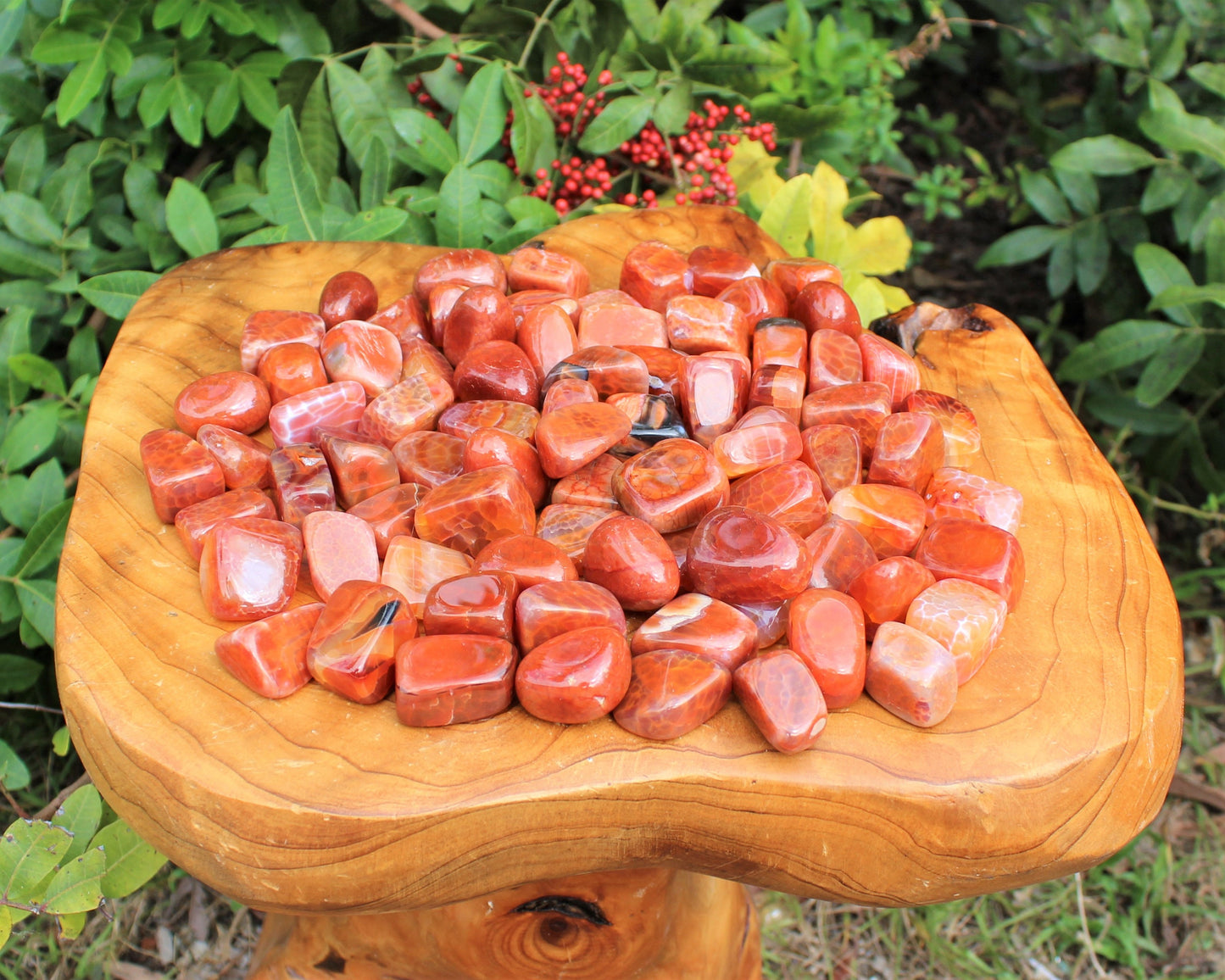 Fire Agate Tumbled Stones