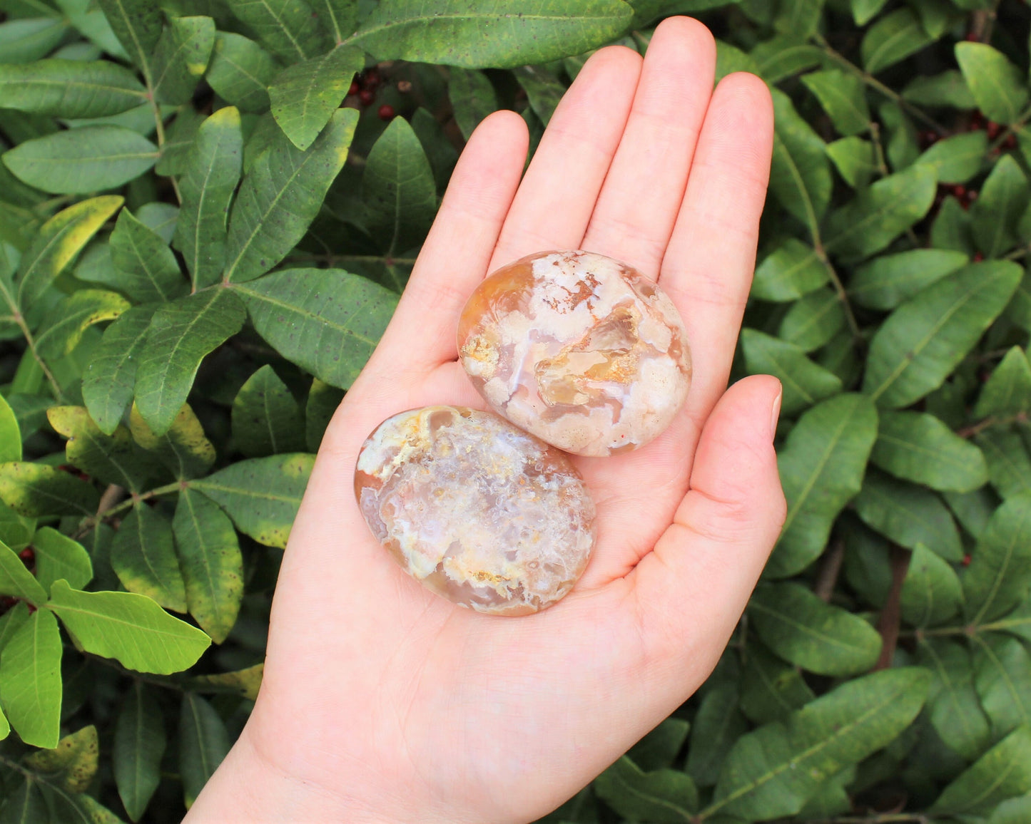 Flower Agate Polished Stones