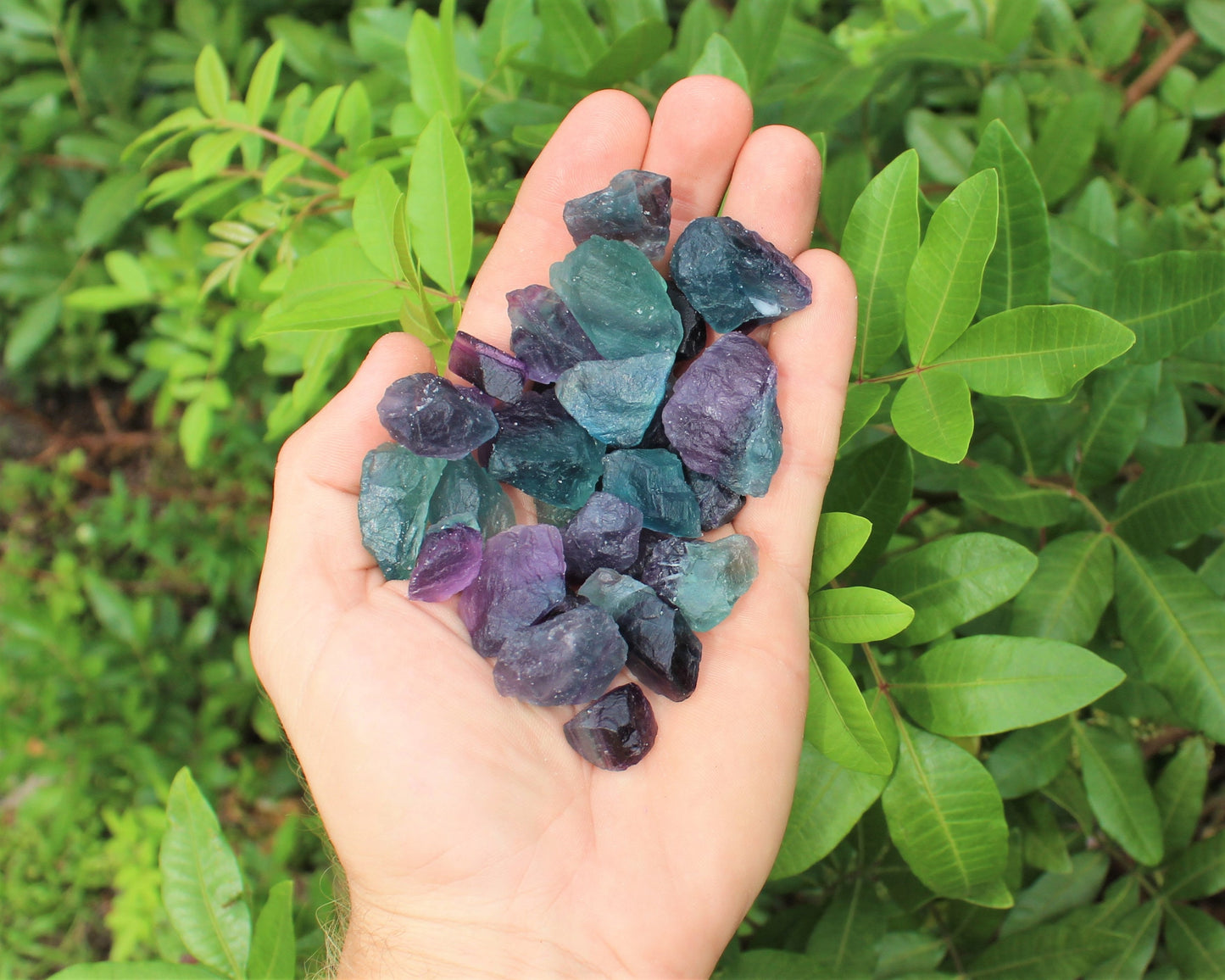 Fluorite Natural Rough Chips
