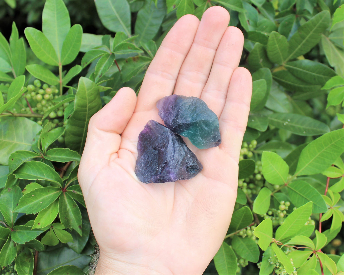 Fluorite Raw Natural Premium Grade Stones