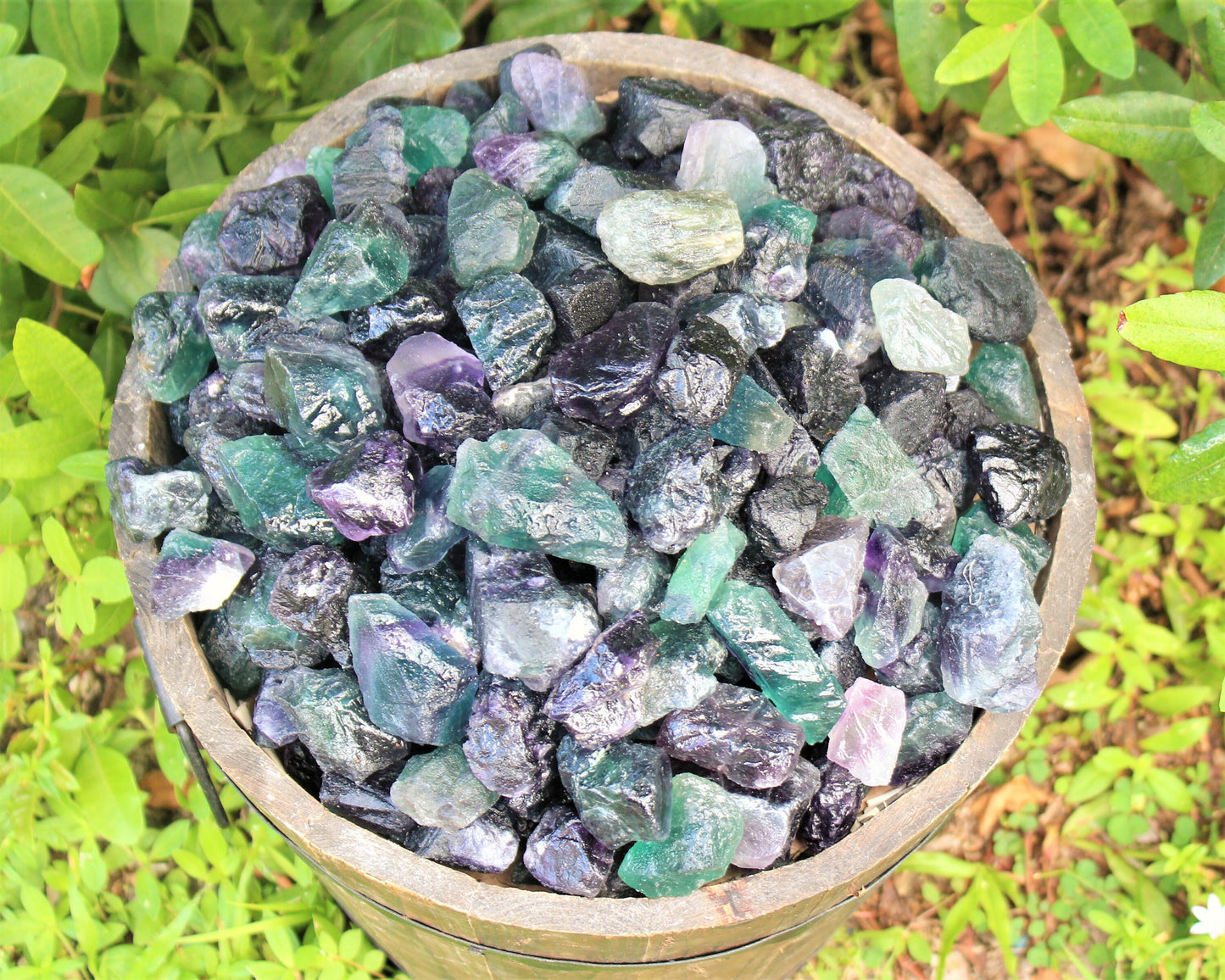 Fluorite Raw Natural Premium Grade Stones