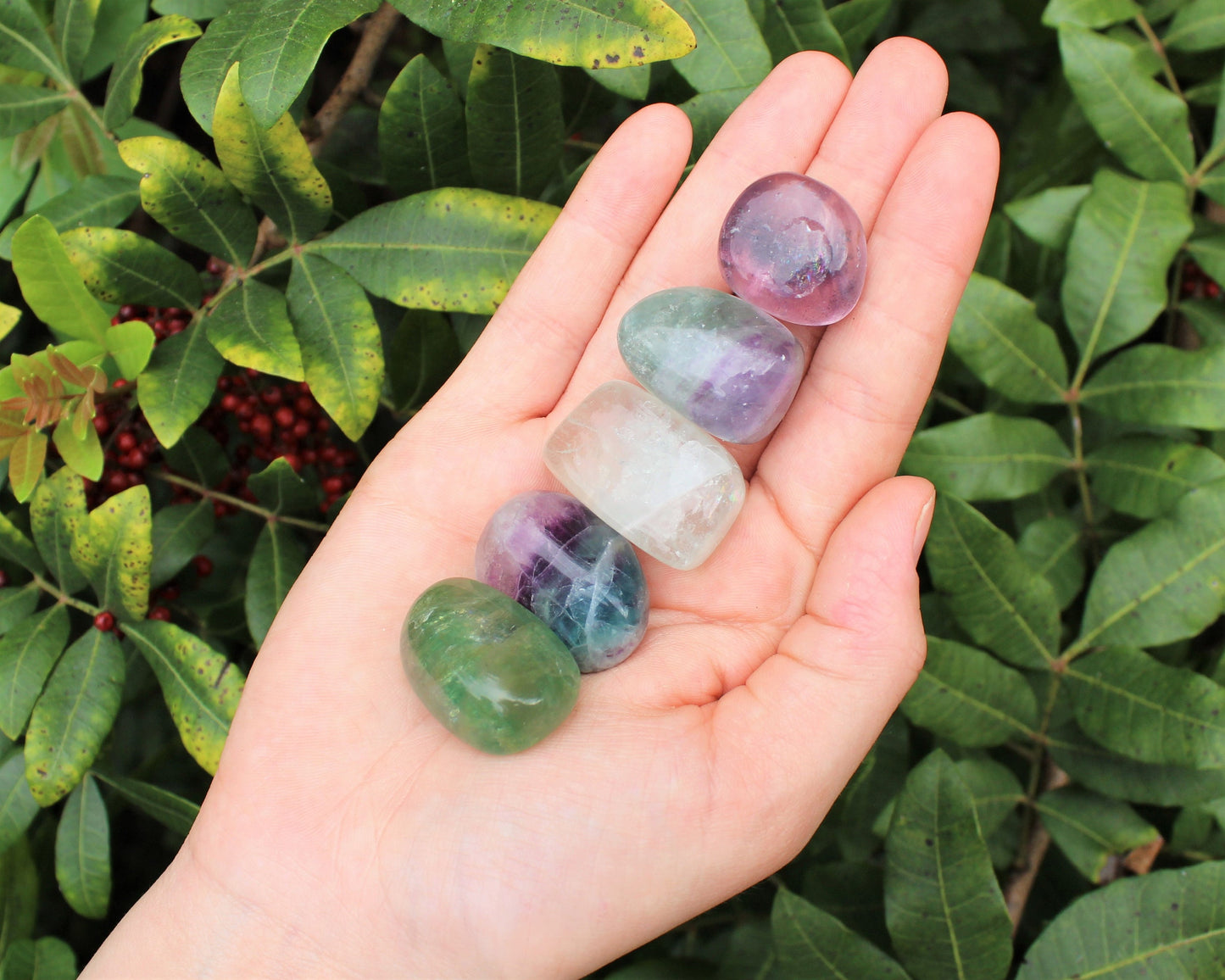 Fluorite Tumbled Stones