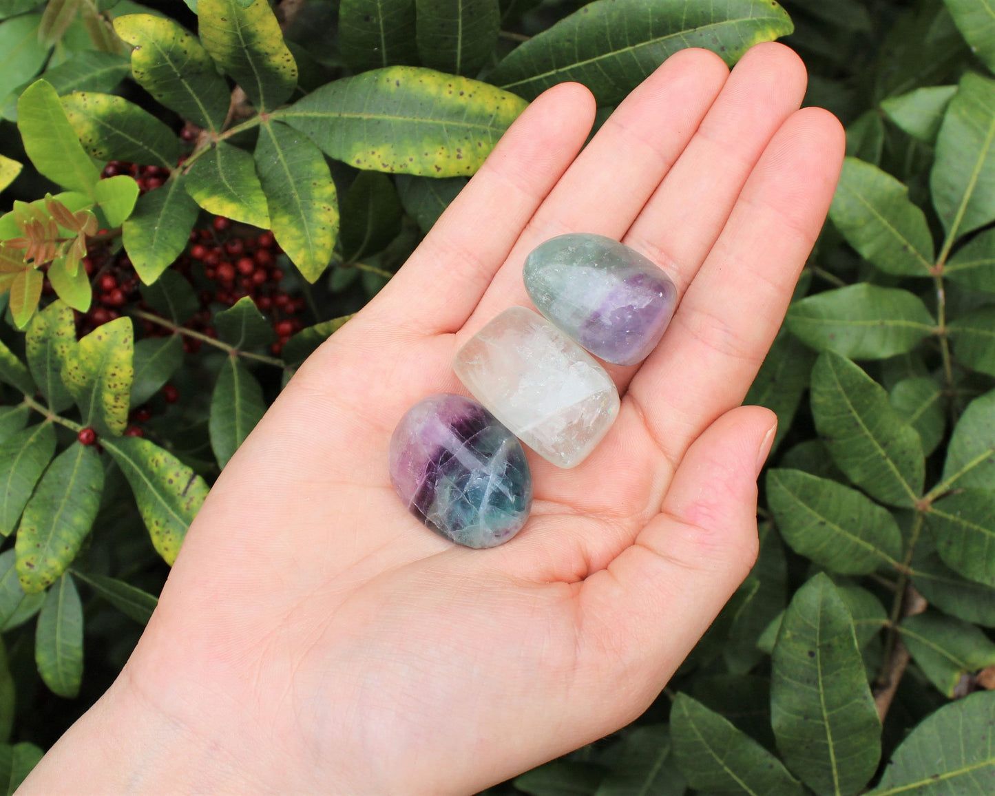 Fluorite Tumbled Stones