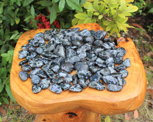 Gabbro Tumbled Stone