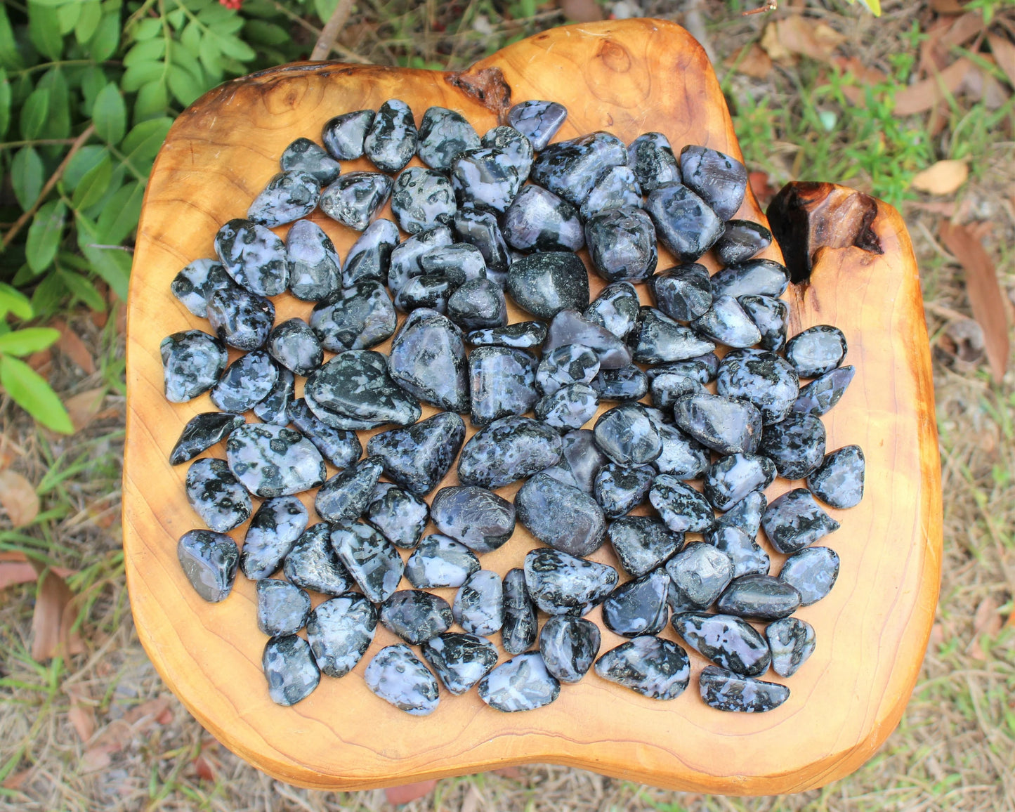 Gabbro Tumbled Stones