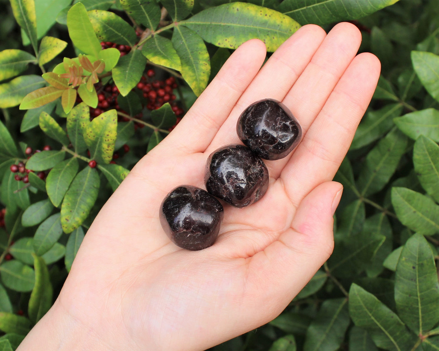 Garnet Tumbled Stones