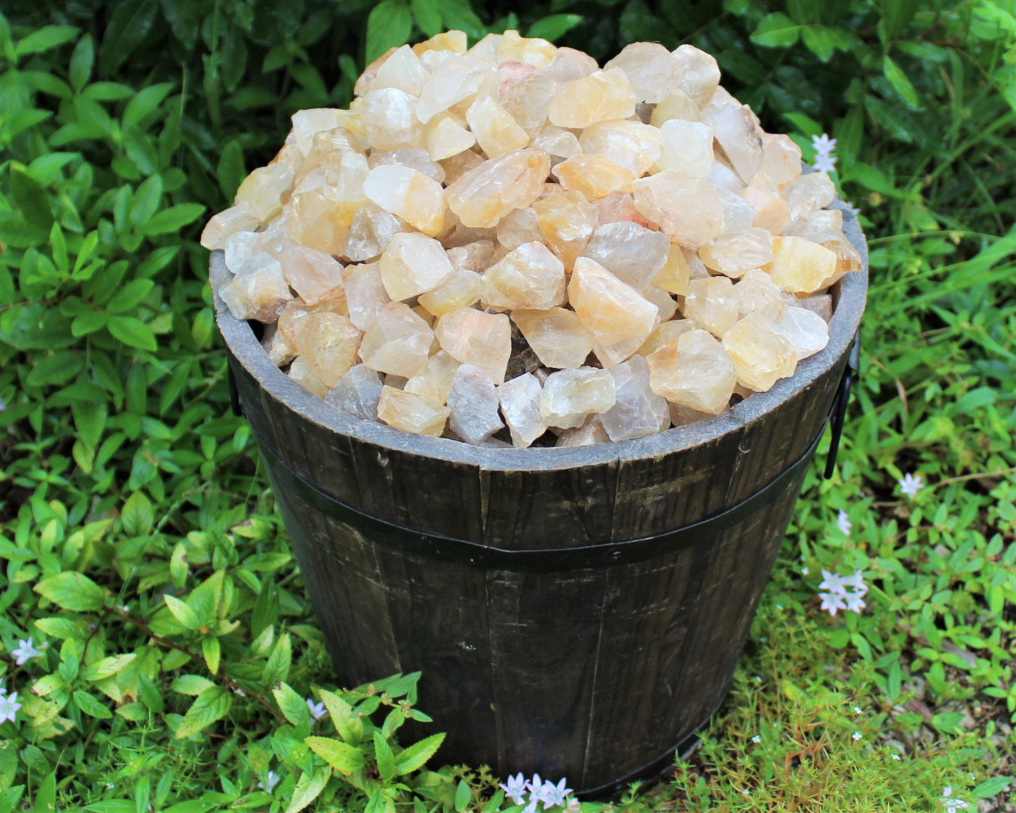 Healer Quartz Rough Natural Stones