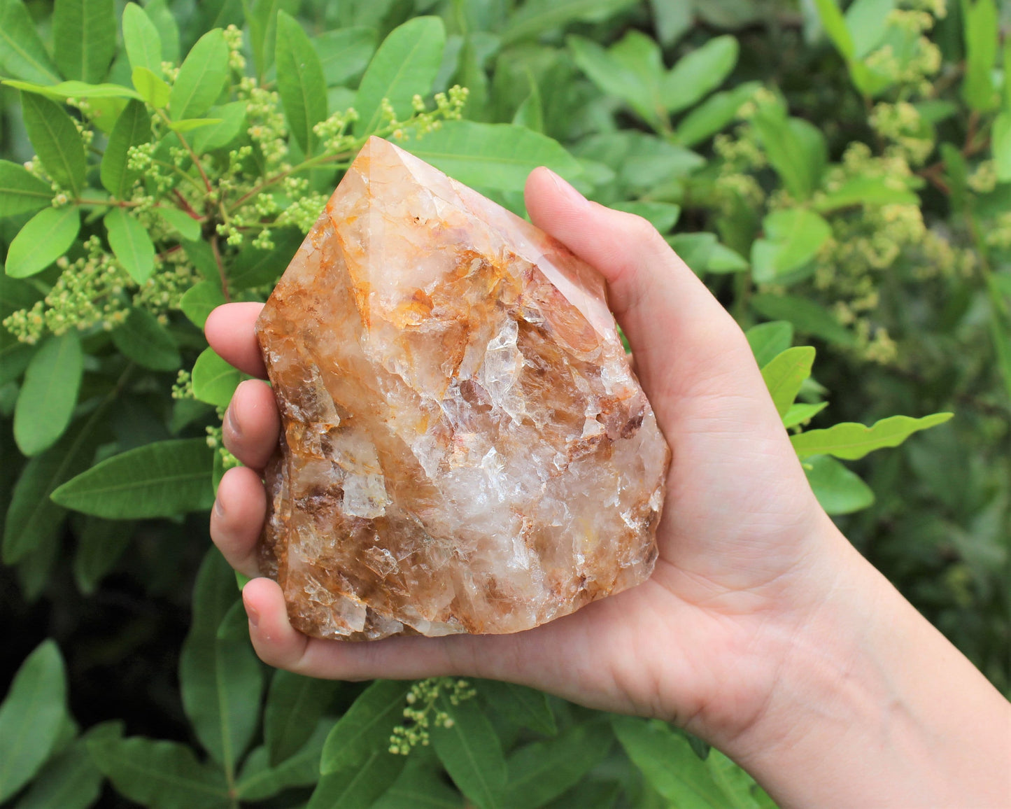 Golden Quartz Top Polished Point