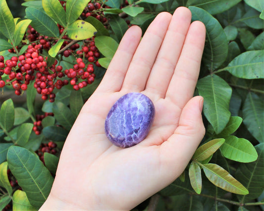 Grade Polished Lepidolite