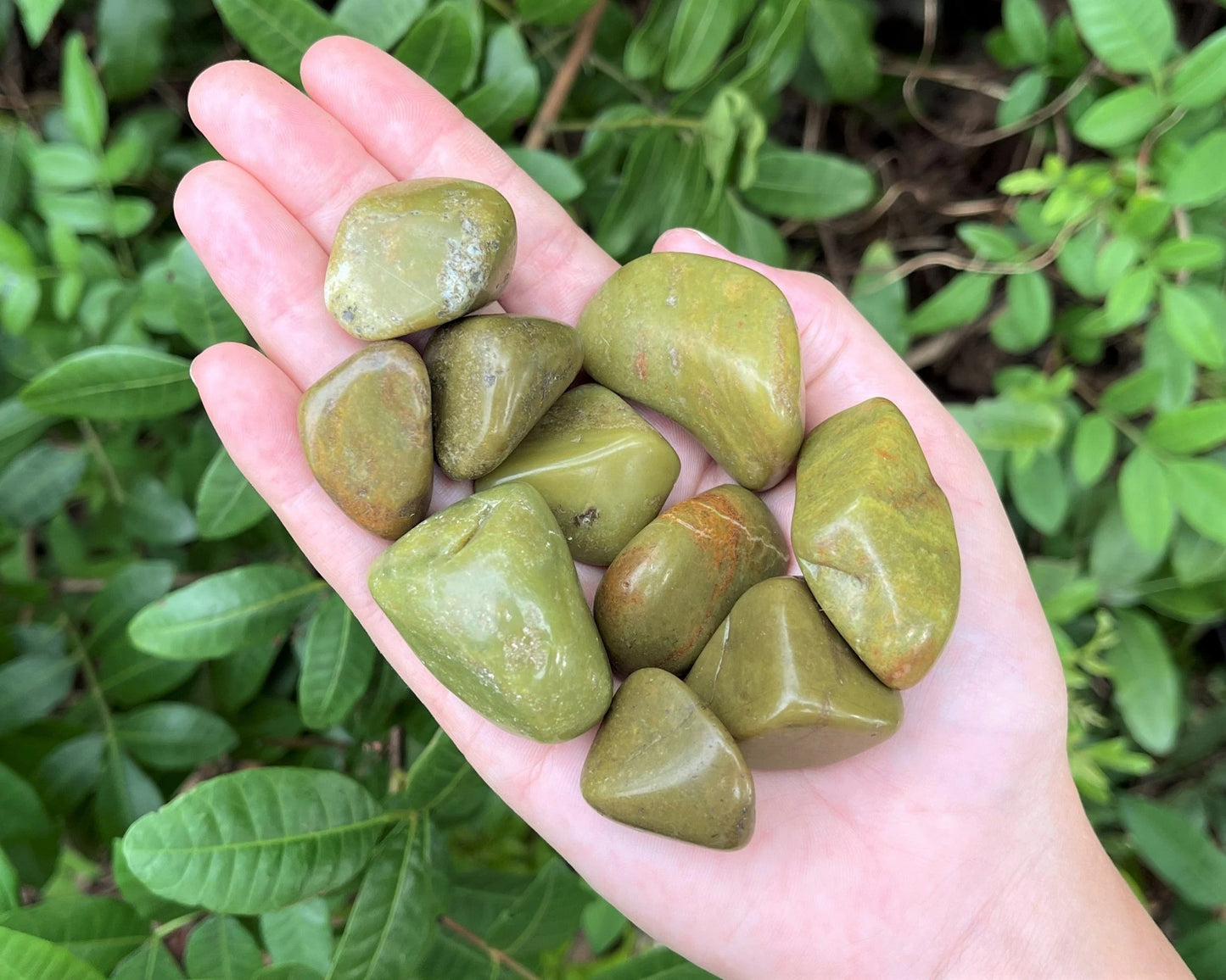 Opal Tumbled Stones