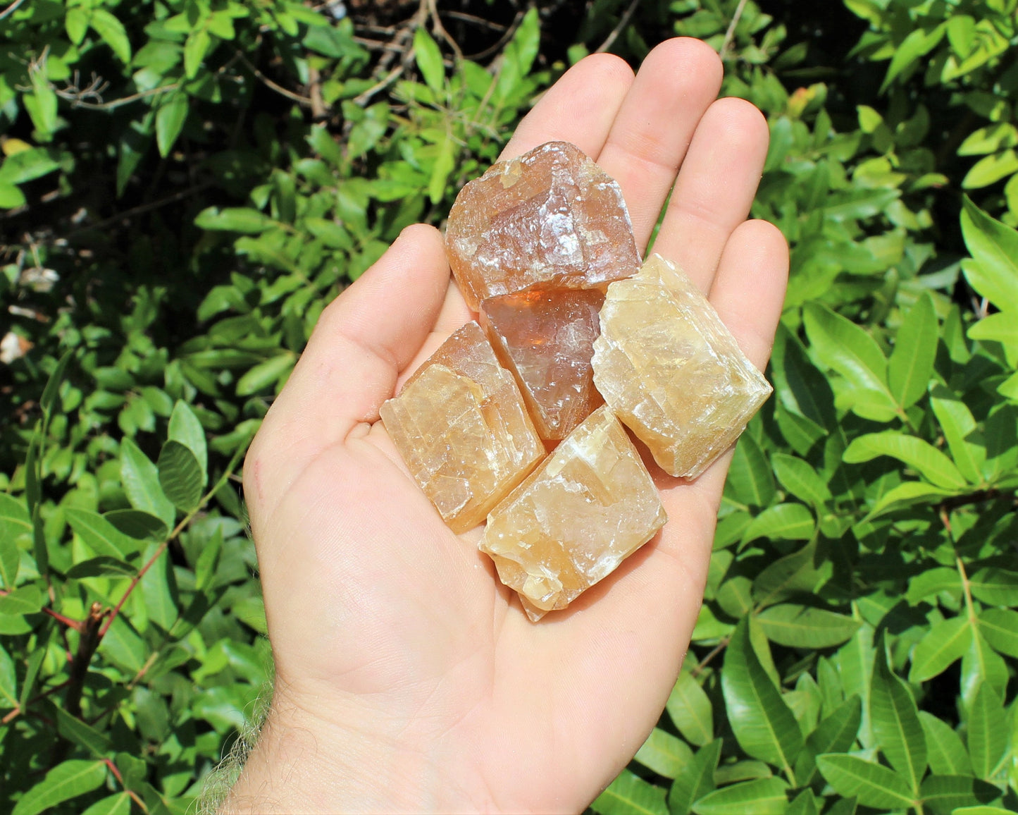 Honey Calcite Rough Natural Stones