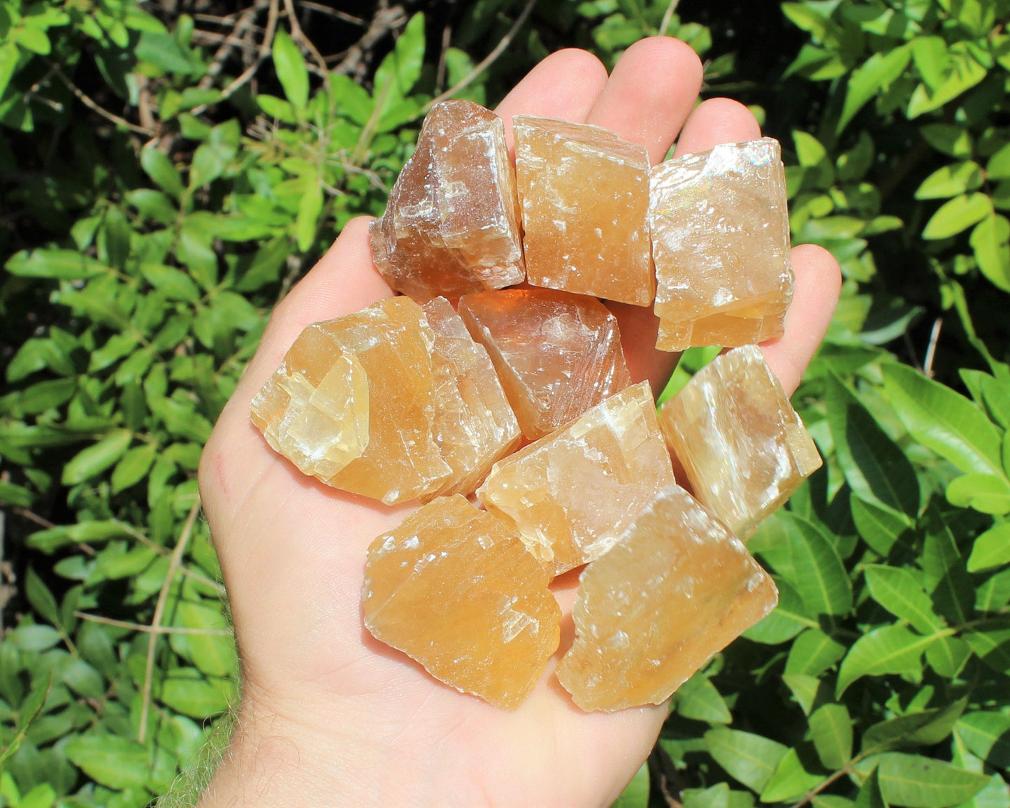 Honey Calcite Rough Natural Stones