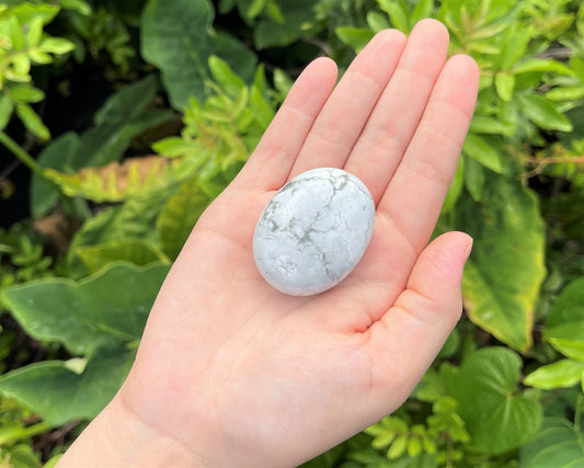 Howlite Polished Stones