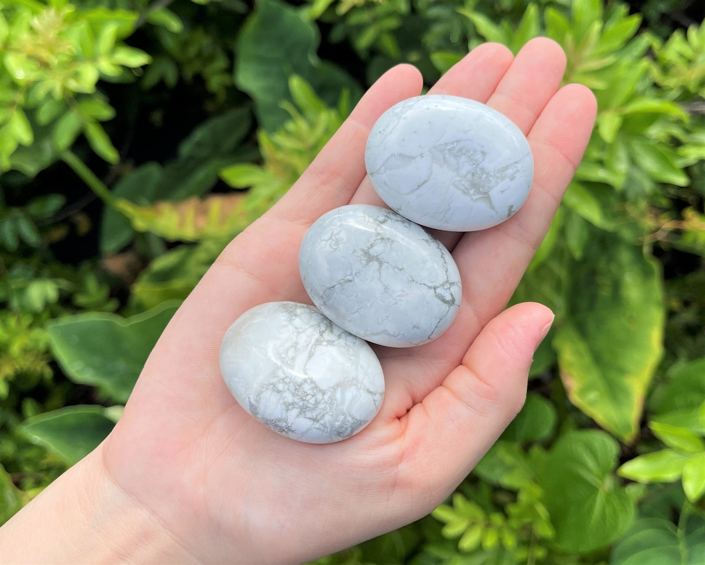 Howlite Polished Stones