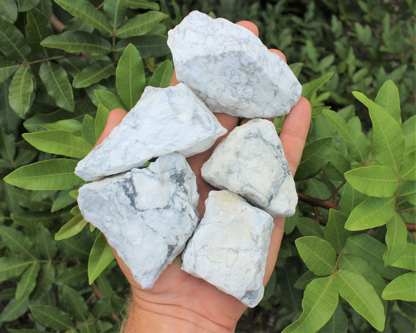 Howlite Natural Rough Chunk