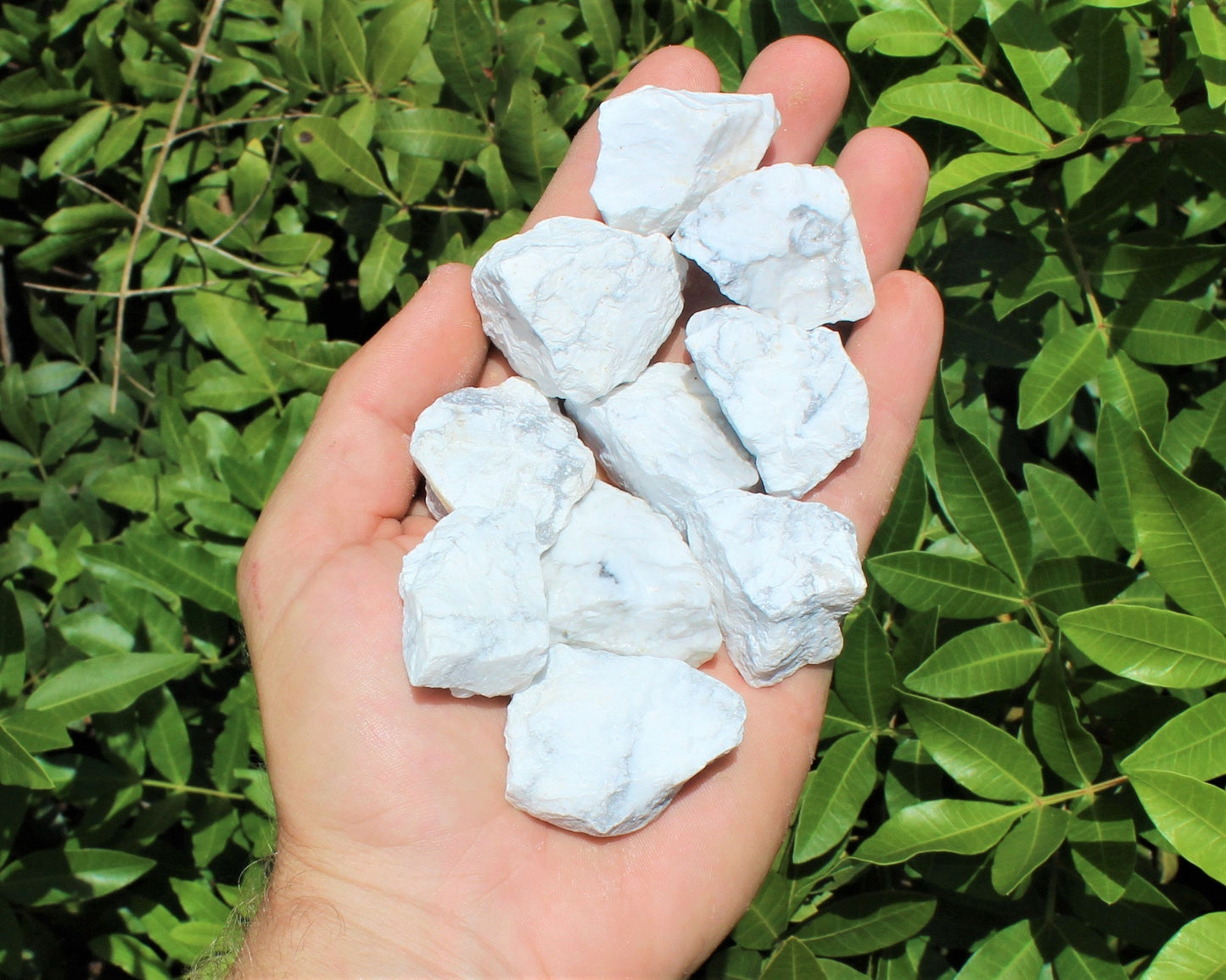 Howlite Rough Natural Stones