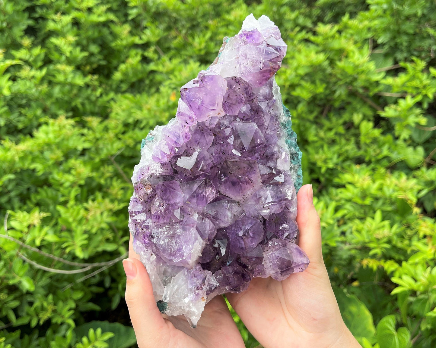 Huge Amethyst Clusters Crystals