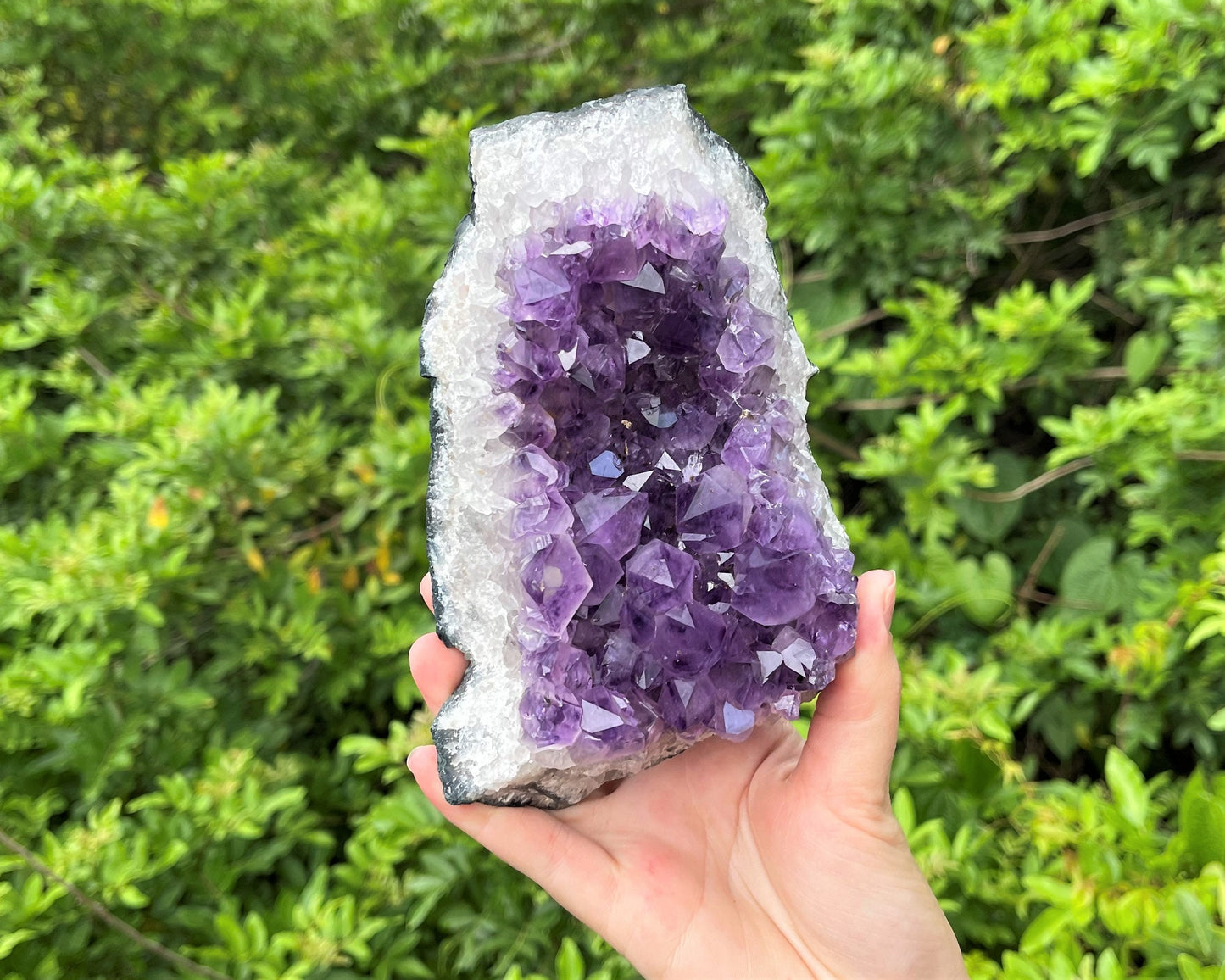 Huge Amethyst Clusters Crystals