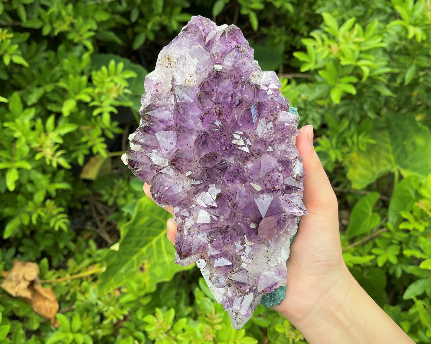 Huge Amethyst Clusters Crystals