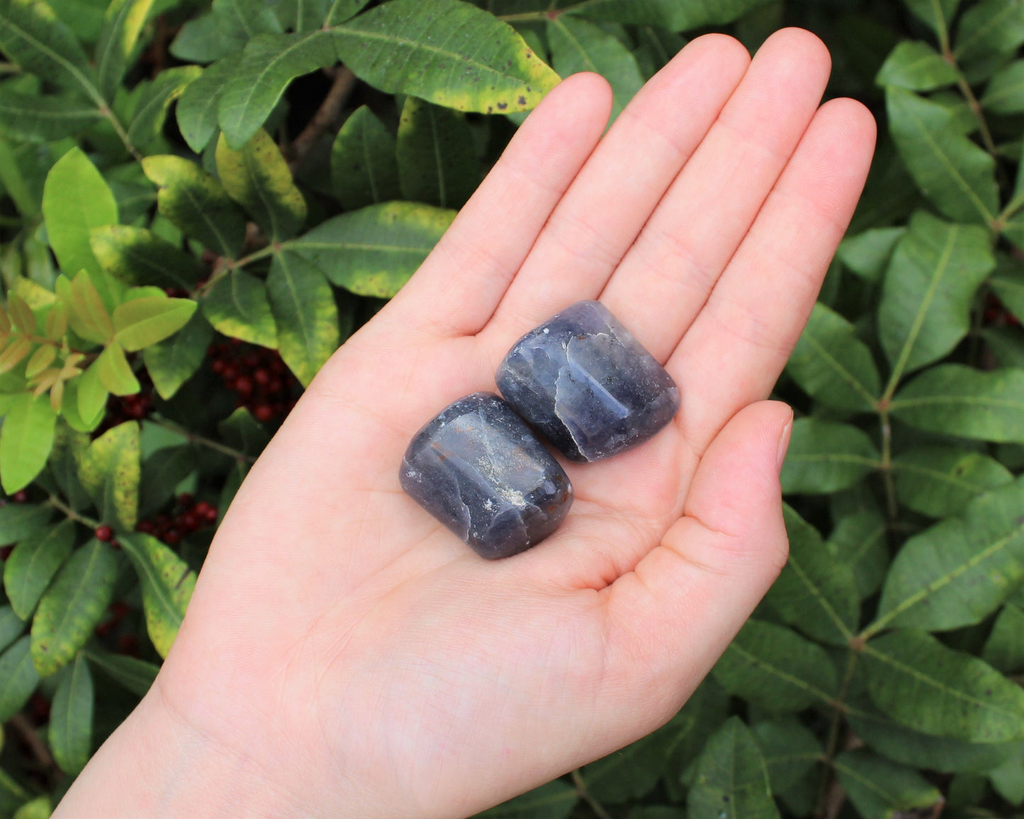 Iolite Tumbled Stones