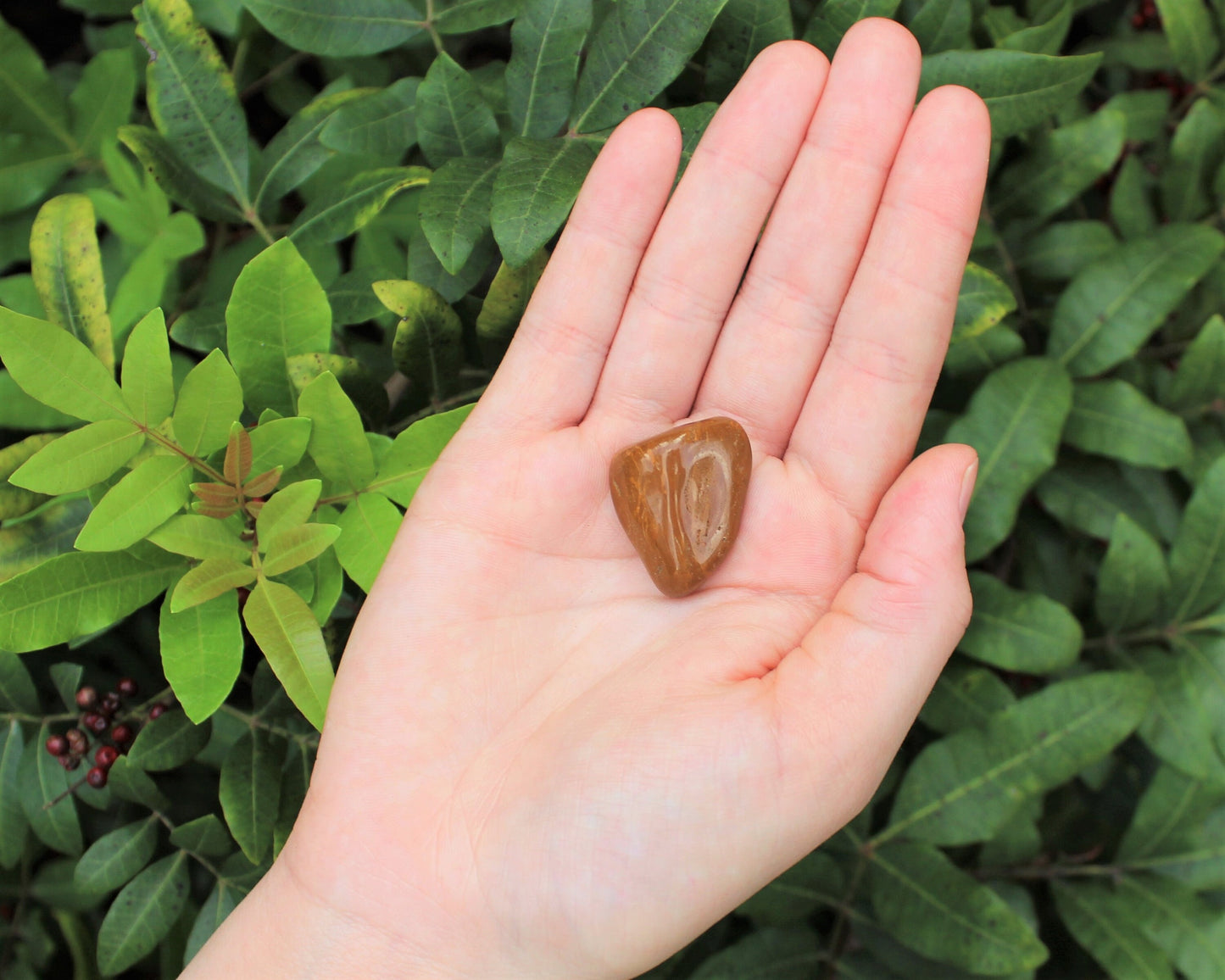 Jasper Earthy Tumbled Stones