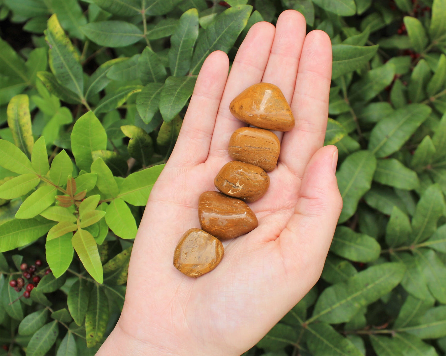 Jasper Earthy Tumbled Stones