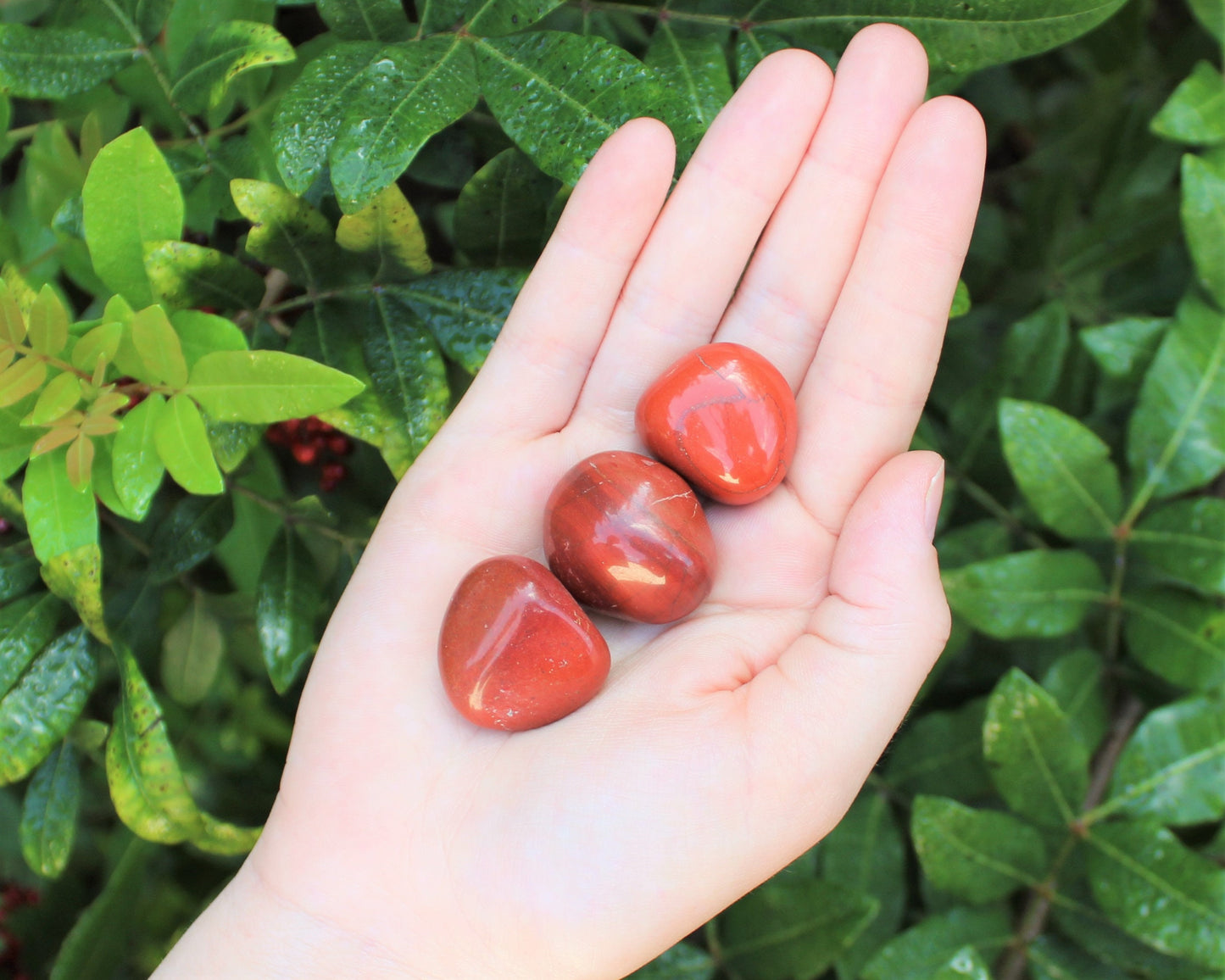 Jasper Tumbled Stones