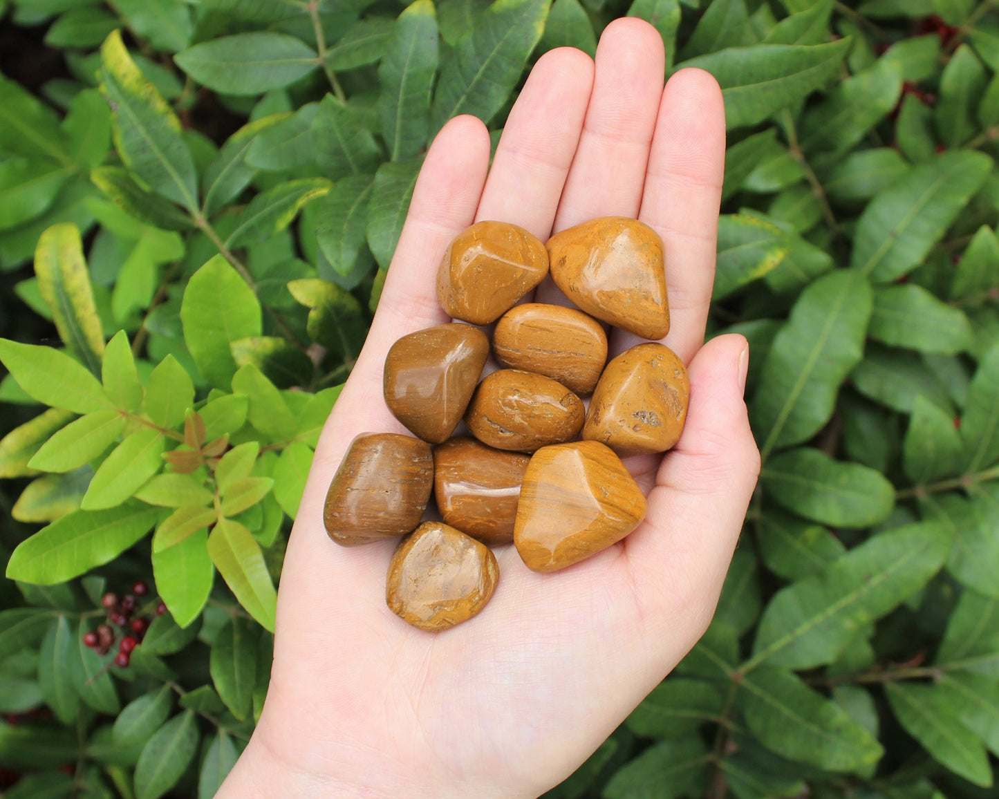 Jasper Tumbled Stones