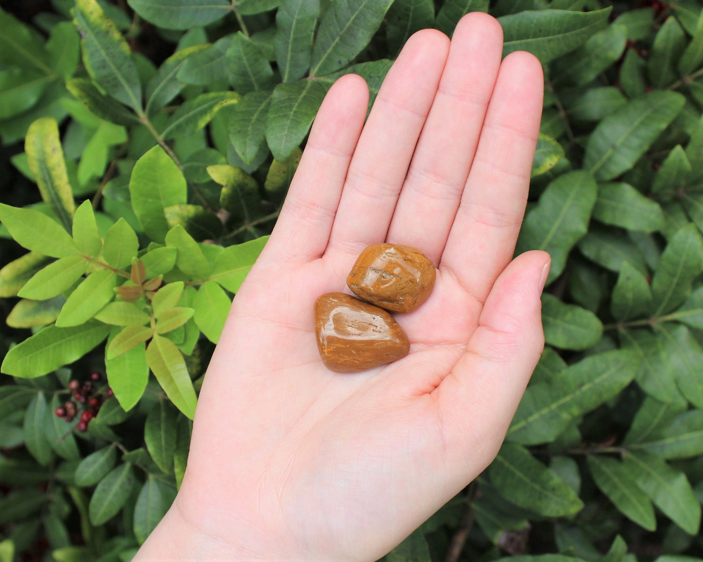 Jasper Tumbled Stones