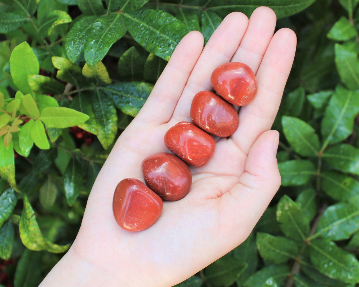 Jasper Tumbled Stones