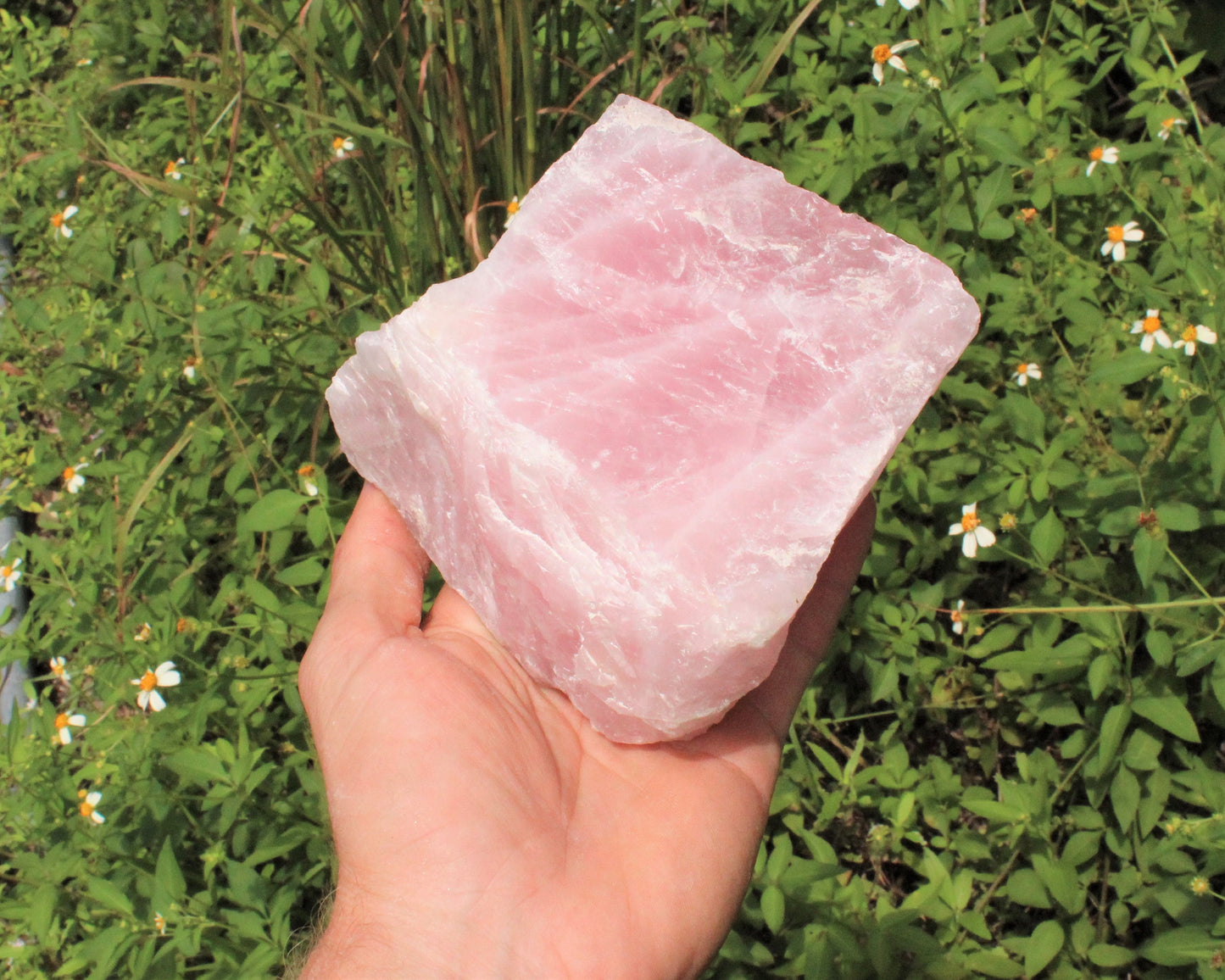 Jumbo Rose Quartz Raw Natural Stone