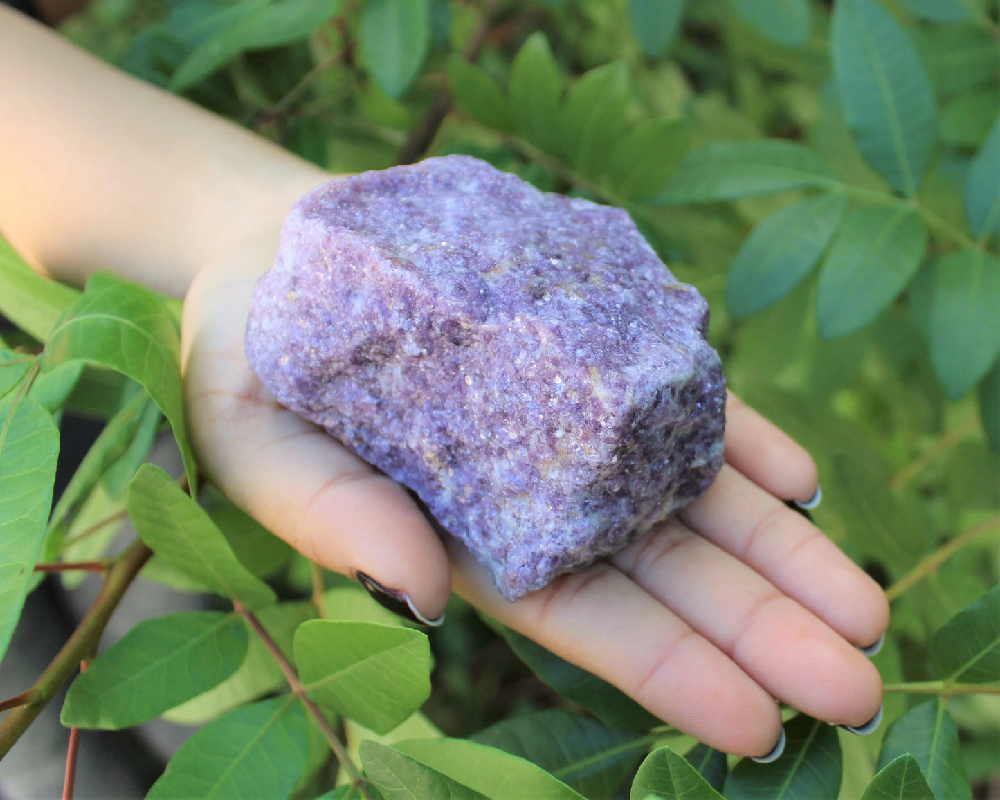 Jumbo Rough Lepidolite Natural Stones