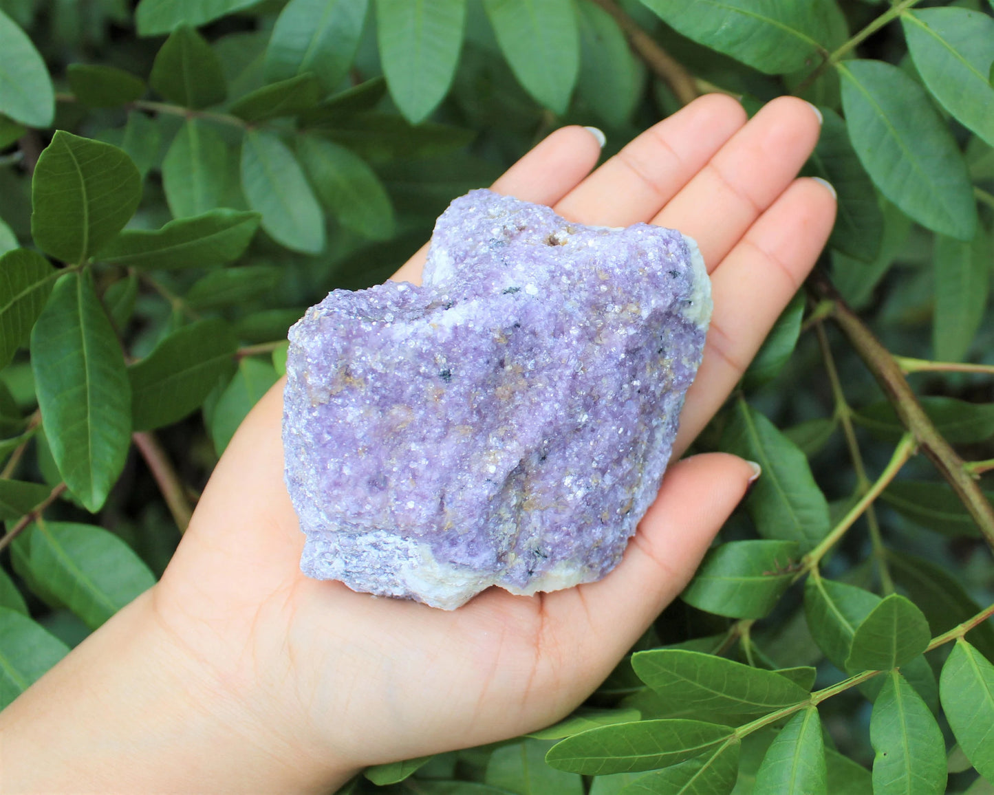 Jumbo Rough Lepidolite Natural Stones