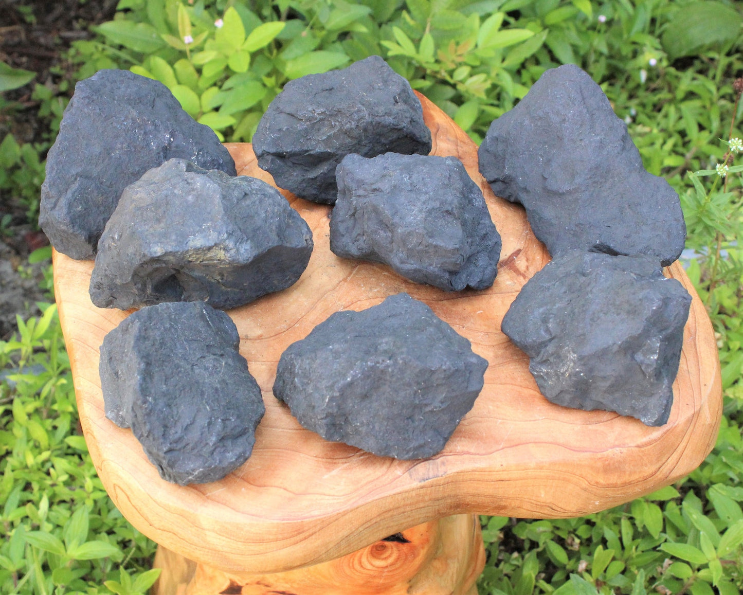 Jumbo Shungite Raw Natural Stones